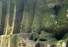 Ketum SMSI Pusat dan Bupati Sergai Arungi, Arung Jeram Sungai Bah Bolon
