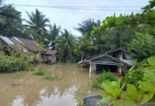 886 rumah warga Kota Bengkulu terendam banjir