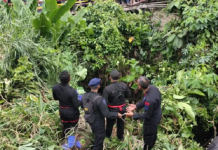Truk bermuatan karet jatuh ke jurang, sopir dan kernet terjebak