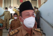 Pemprov Bengkulu tetapkan harga beli TBS sawit Rp1.677 per kilogram