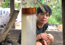 Masyarakat pedalaman Kaltara sukses budi daya gaharu