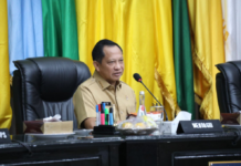 Situasi Global Belum Stabil, Mendagri Minta Pemda Jaga Laju Inflasi